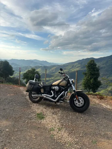 Harley Davidson Dyna Fat Bob