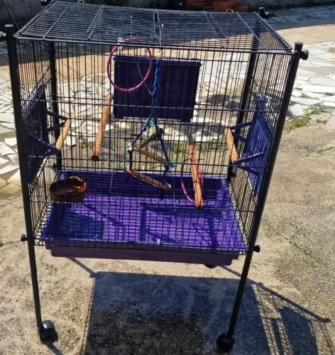 Gaiola para pet