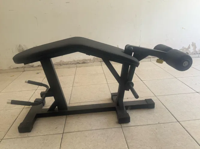Mesa flexora, academia