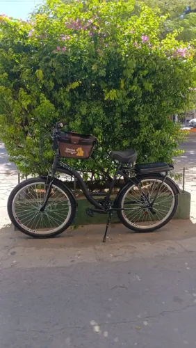 Bicicleta praiana + Cestinho + Cadeirinha dog