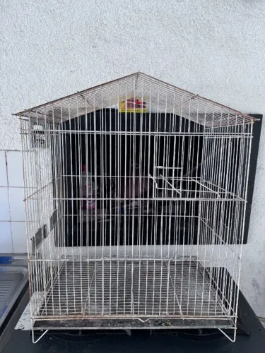 GAIOLA CALOPSITA - 40 x 60 x 70 cm