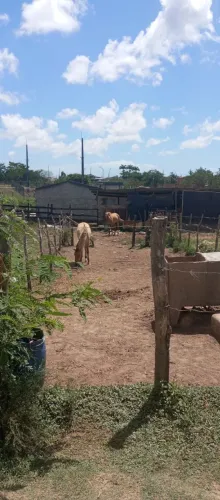Vendo terreno