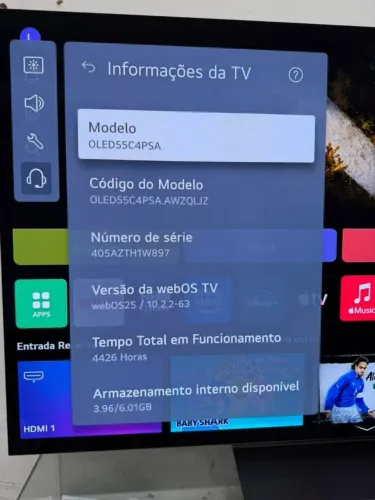 LG OLED EVO C4 55 4 HDMI, 3 USB, ThinQ AI, Alexa