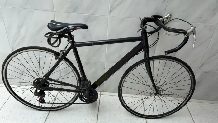 Vendo bicicleta magrela