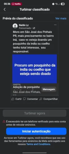Adoção de porquinho da india e/ou coelho