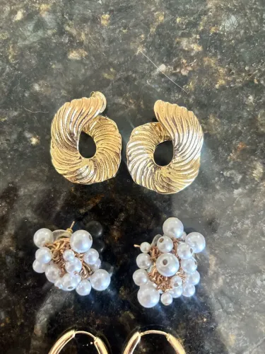 Estojo com brincos lindos 60,00