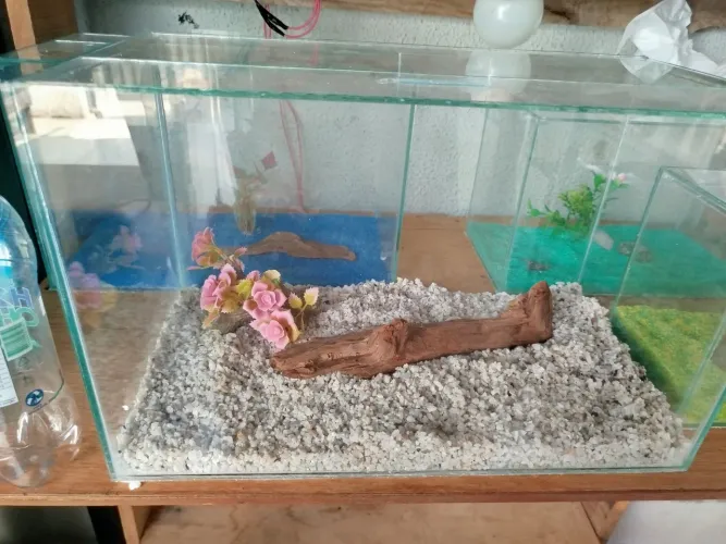 Aquário 20L