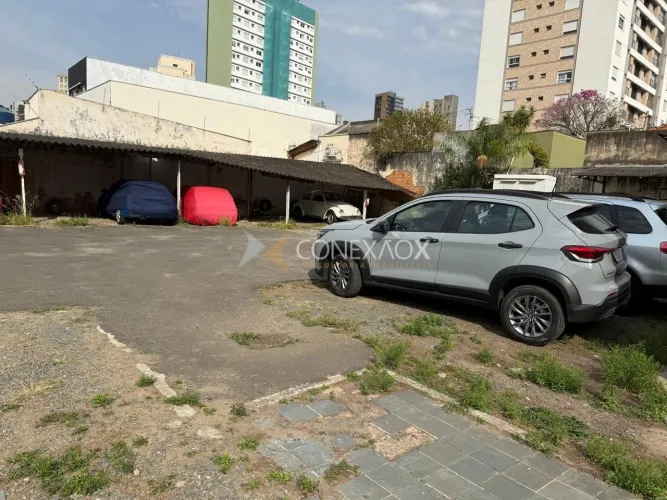 terreno - Cambuí - Campinas