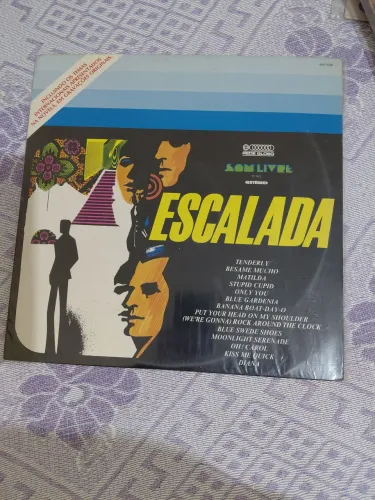Vinil escalada