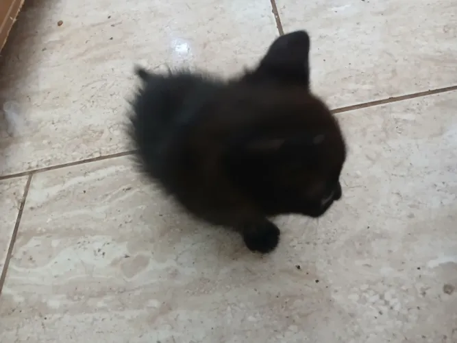 Doação 