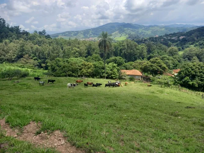 Sítio em Águas da Prata - Sp