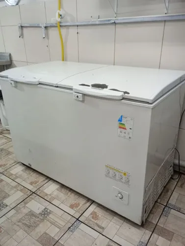Freezer duplo Electrolux 400/500