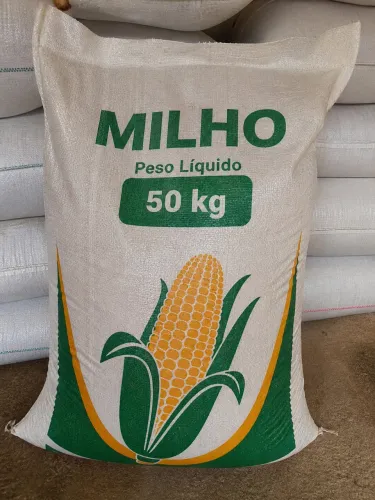 Milho em grão