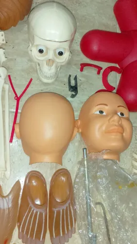 Coleção Corpo Humano SALVAT