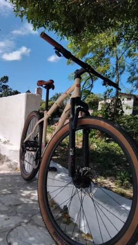 Colli aro 29