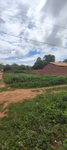 Vendo dois terrenos no tajaçuaba são Luís 