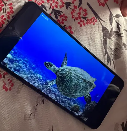 Vendo iPhone XR semi novo