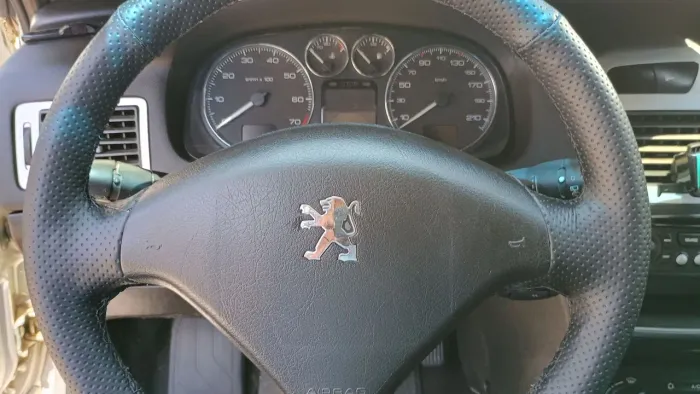 Peugeot 307 Soleil/ Presence 1.6/1.6 Flex 16V 5P 2008