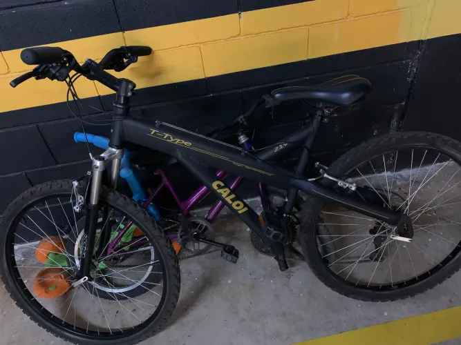 Bicicleta t-type 