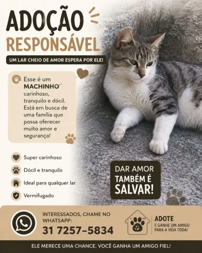 Doação responsável