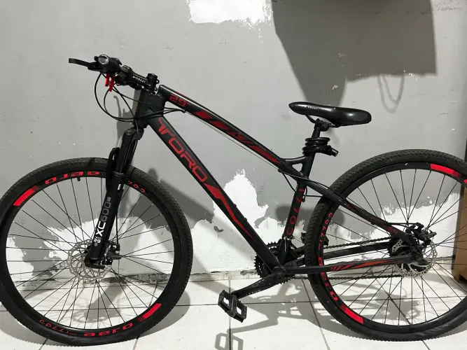 VENDO BICICLETA TORO ARO 29 (veja o anuncio)