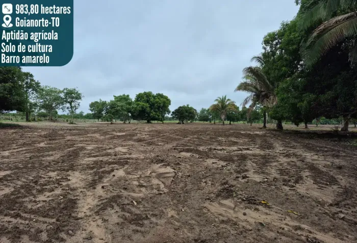 FAZENDA 195 ALQUEIRES | 540 HA AGRICULTÁVEIS | 580 HA FORMADOS