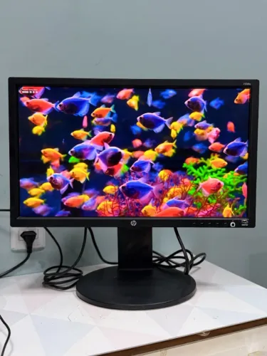 Opção 1 Monitor 20 Polegadas HP E2011p-bn LED VGA e DVI com Ajuste de Altura - Excelente