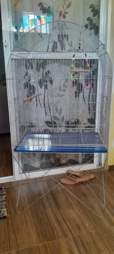 GAIOLA 1 MES DE USO