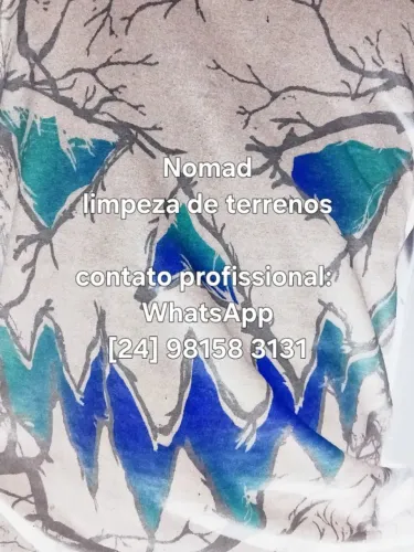 Limpeza de terreno profissional 