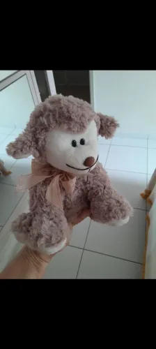 Ursinho de pelúcia