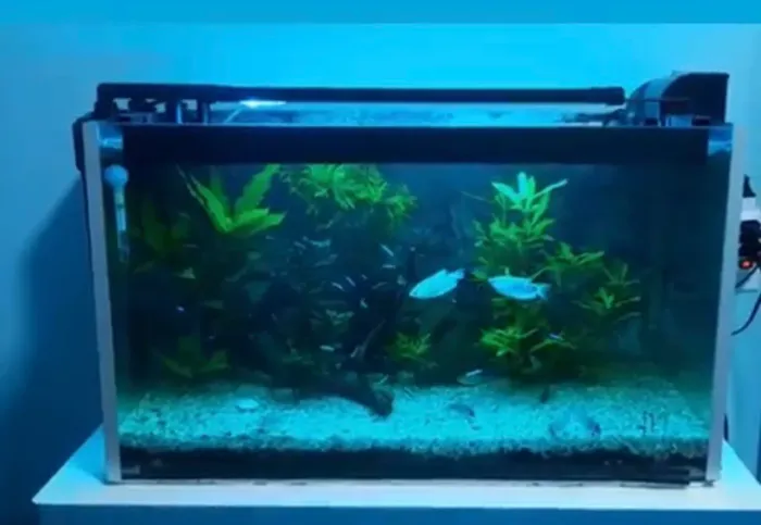 Aquário 115 litros 