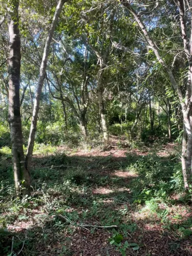 terreno no rio vermelho