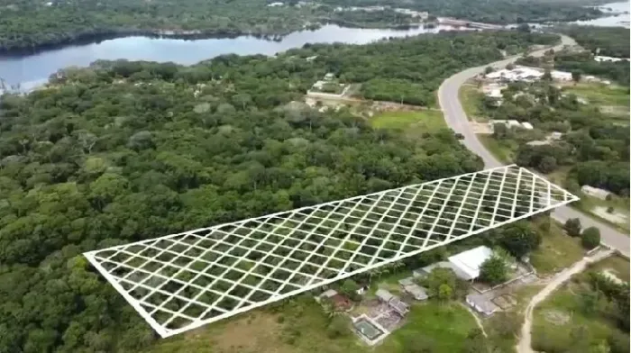 Terreno 20.000m² no KM 78 Manoel Urbano ótimo p/ Sítios-Chácaras-Hotel de Selva-Galpões