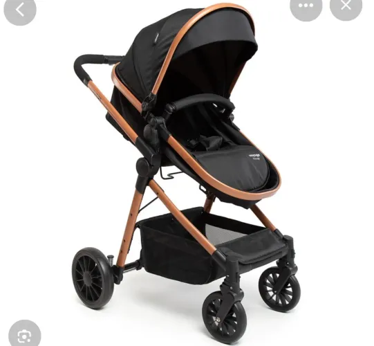 carrinho de bebê com moisés e bebê conforto