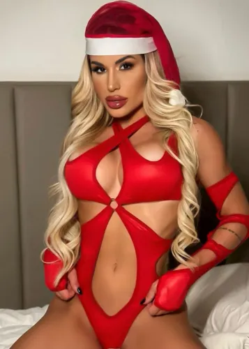 Conjunto mamãe noel completo