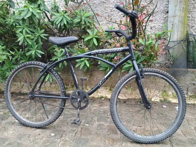 Bicicleta praiana 