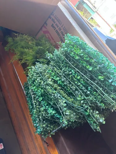PLANTAS ARTIFICIAIS PLACA BUCHINHO
