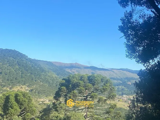 Chácara de 15 hectares em Urubici/ SC