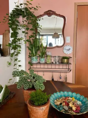 Apartamento : / Residencial / Santa Teresa