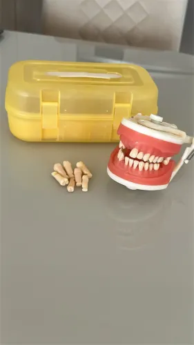 Manequim Dentística Pronew - Odontologia