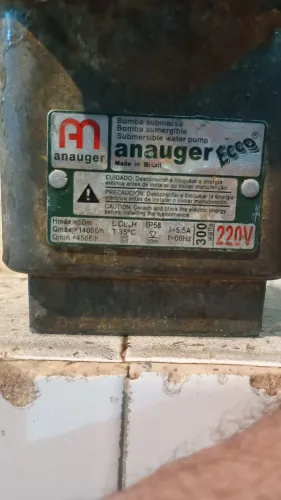 Bomba de água Anauger Eco 220v
