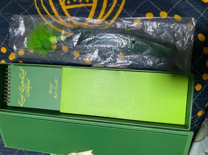 Pena de repetição Rita Harry Potter