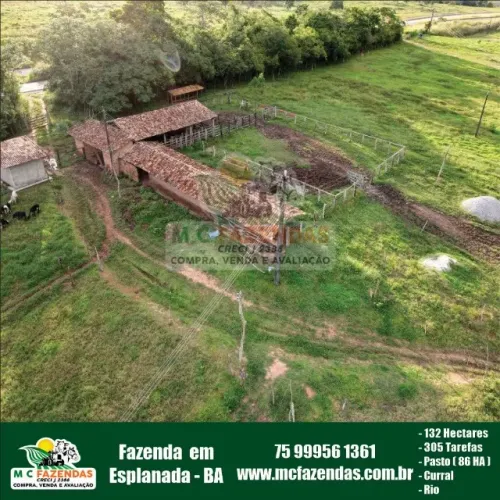 Fazenda em Esplanada - Bahia | 132 Hectares | 305 Tarefas | Pecuária | Gado