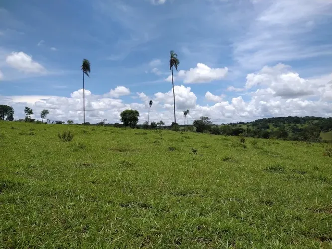 Fazenda de 118 alqueires em Leopoldo de Bulhões