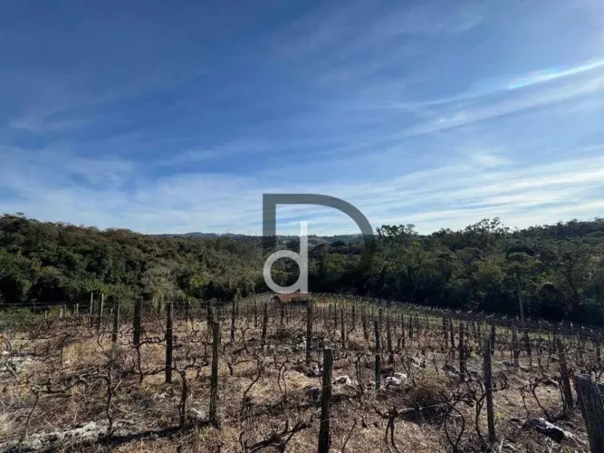 Sítio à venda, 23000 m² por R$ 990.000,00 - Engenho Seco - Louveira/SP