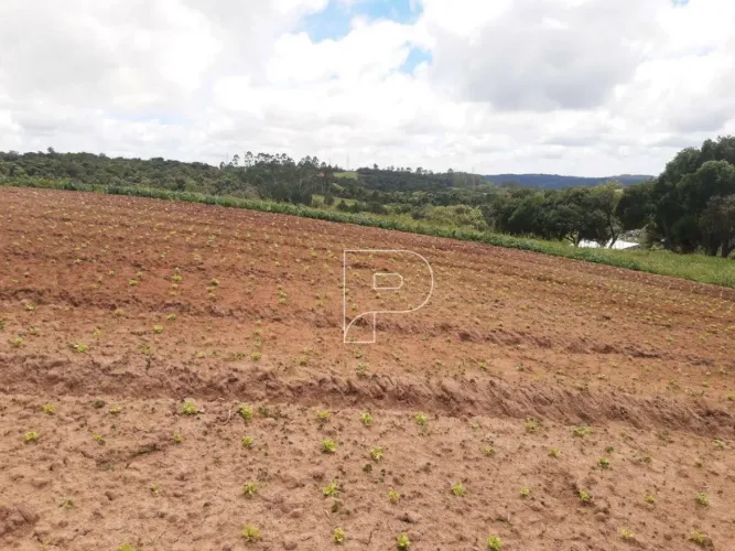 Área à venda, 39000 m² por R$ 870.000,00 - Carmo Messias - Ibiúna/SP