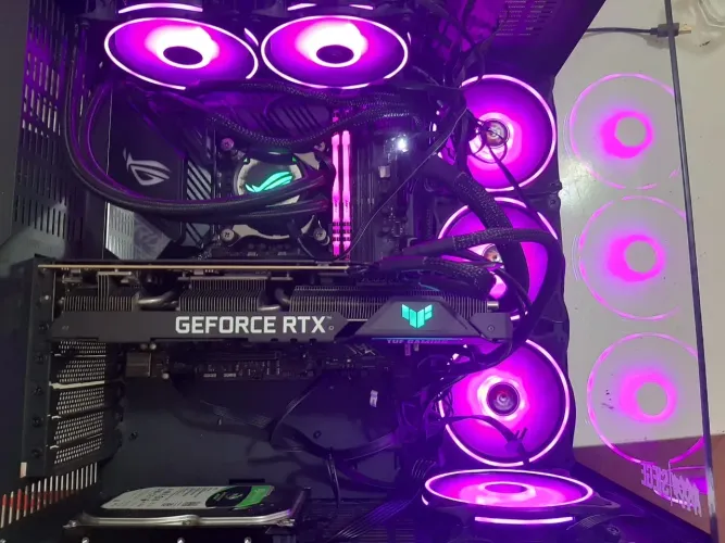 6 fans dt3 sports