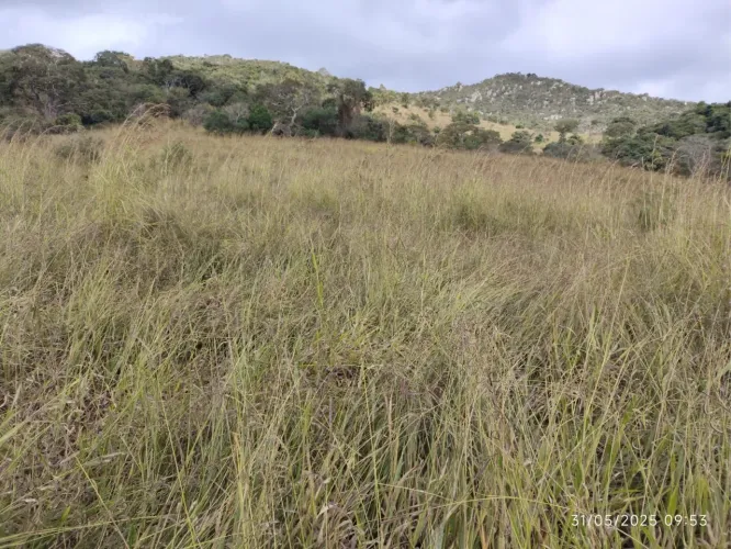 Terreno com 32 hectares