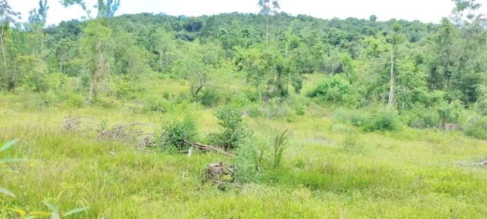Sítio 2 hectares em Rolante RS Açude Potreiro Área Verde Tranquilidade Natureza