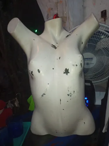 Manequim de corpo $30.00